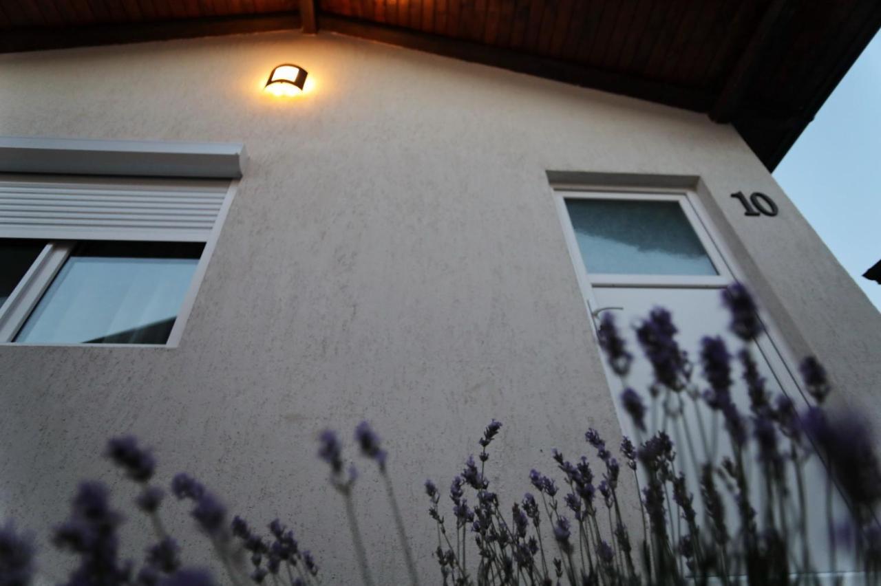 La Casute Tasaul Villa Năvodari Екстериор снимка